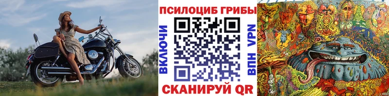 гидра зеркало  где можно купить   Пермь  Псилоцибиновые грибы Psilocybine cubensis 